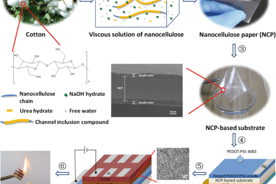 Transparent perovskite solar cells on paper