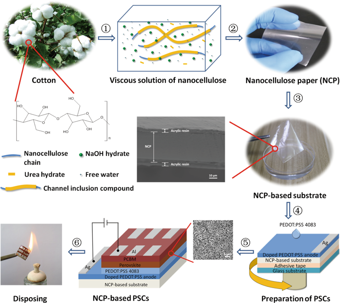 Transparent perovskite solar cells on paper