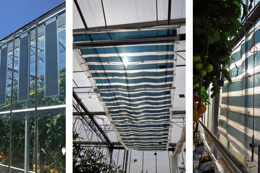 Greenhouses fitted with organic photovoltaic film