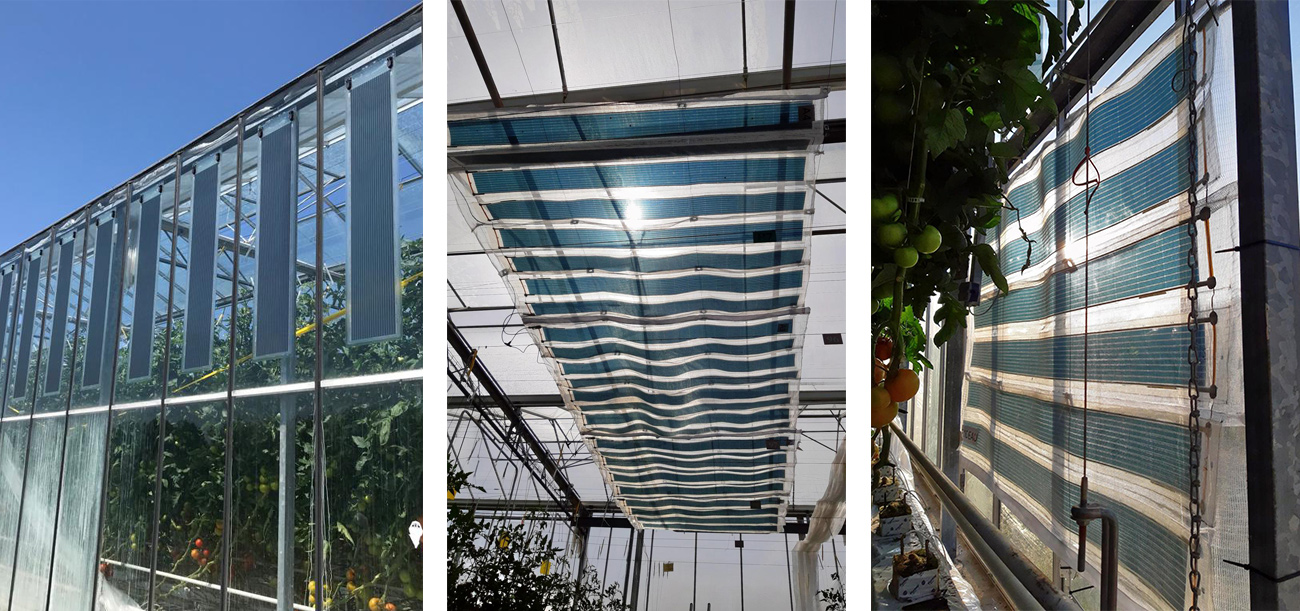 Greenhouses fitted with organic photovoltaic film